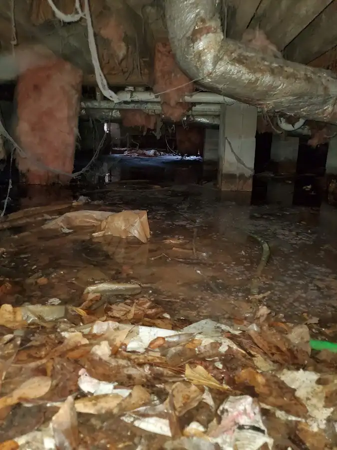 Crawl space flood assessment for Leak Detection & Repair in Vancleave